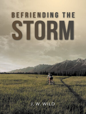 cover image of Befriending the Storm